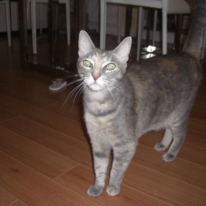 Meet your Posher, Sebastian